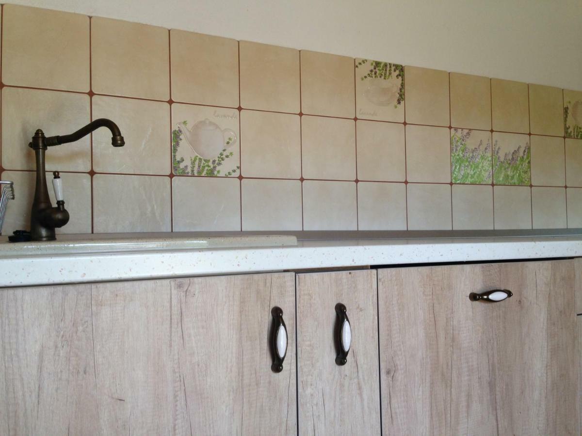 Casa Toma Villa Felek Kültér fotó