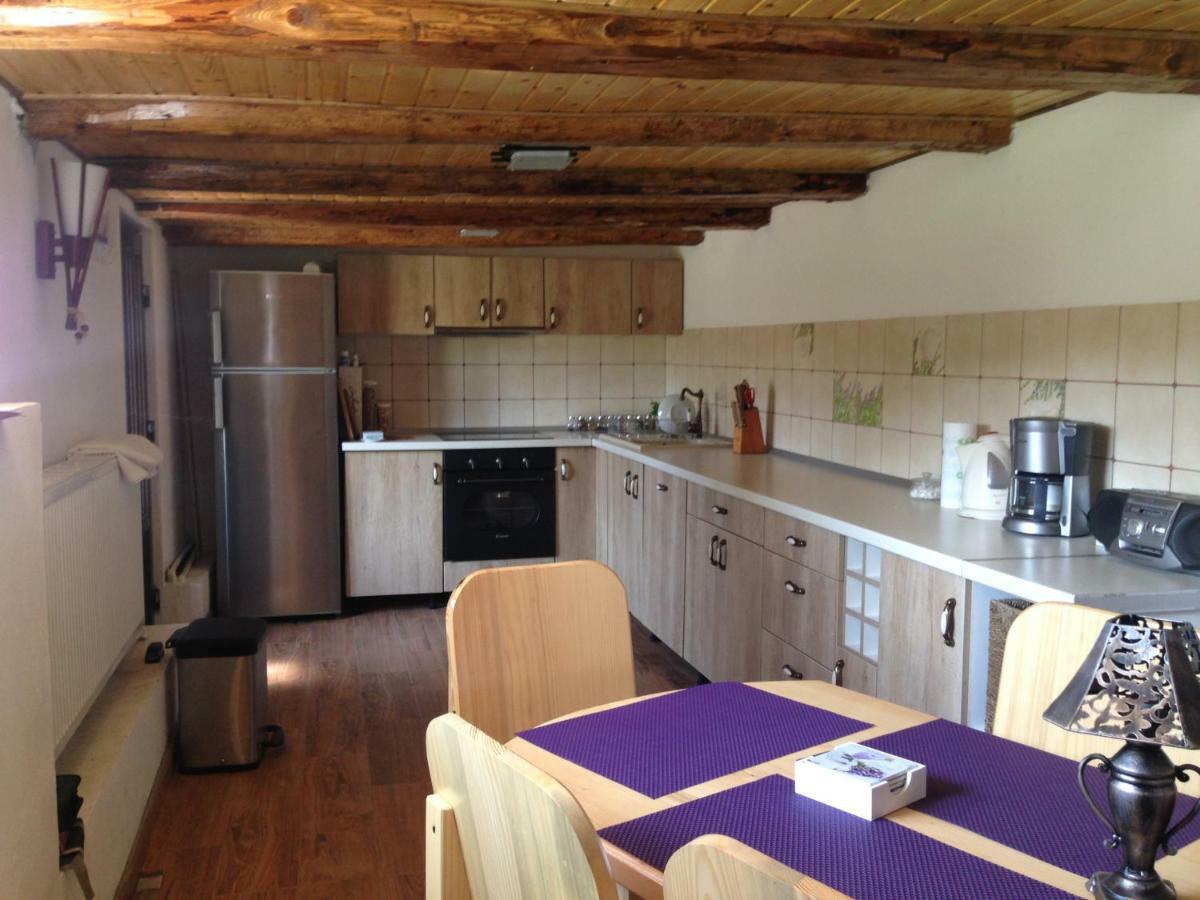 Casa Toma Villa Felek Kültér fotó