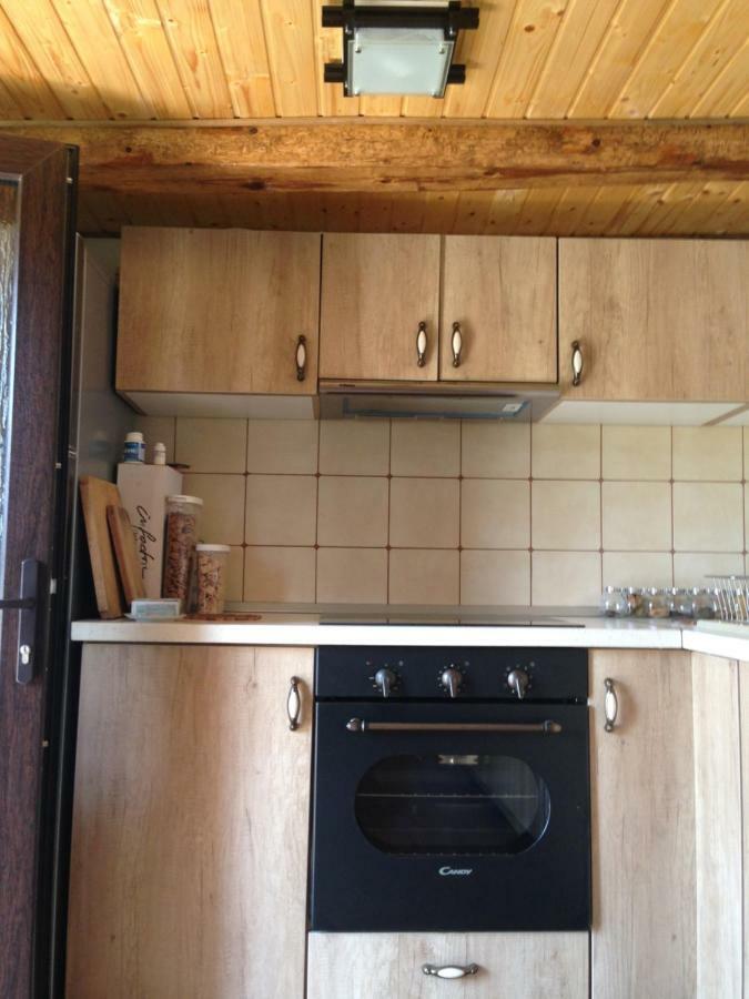 Casa Toma Villa Felek Kültér fotó