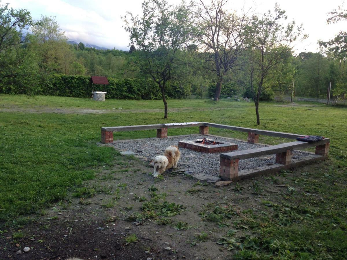 Casa Toma Villa Felek Kültér fotó